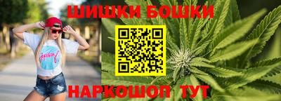 индика Шебекино